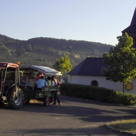 Gaestehaus Alexanderhof Leiwen Dış mekan fotoğraf