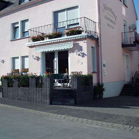 Gaestehaus Alexanderhof Leiwen Dış mekan fotoğraf