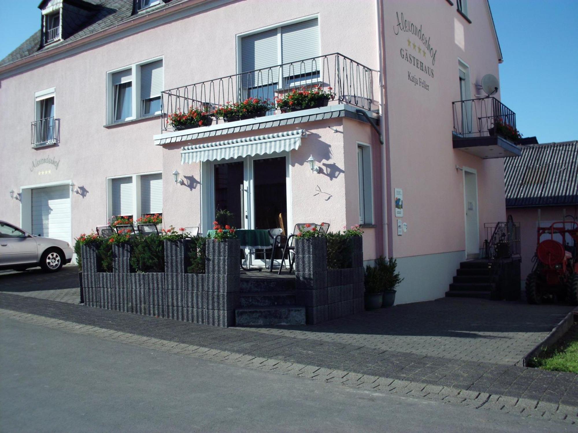 Gaestehaus Alexanderhof Leiwen Dış mekan fotoğraf